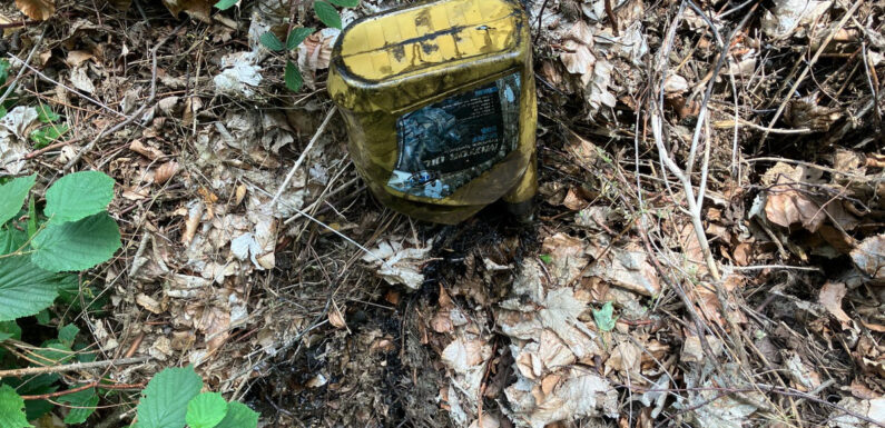 Umweltverschmutzung in Liekwegen: Öl im Wald ausgelaufen
