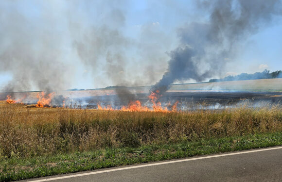 Ballenpresse fängt bei Erntearbeiten in Auhagen Feuer: 3000 Quadratmeter Feld brennen nieder