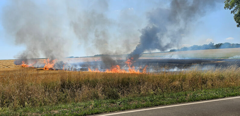 Ballenpresse fängt bei Erntearbeiten in Auhagen Feuer: 3000 Quadratmeter Feld brennen nieder