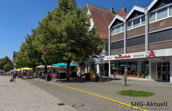 So klein wie möglich, so groß wie nötig: Sondersitzung des Bückeburger Klimaausschusses streitet um Baumquartiersanierung