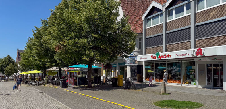 So klein wie möglich, so groß wie nötig: Sondersitzung des Bückeburger Klimaausschusses streitet um Baumquartiersanierung