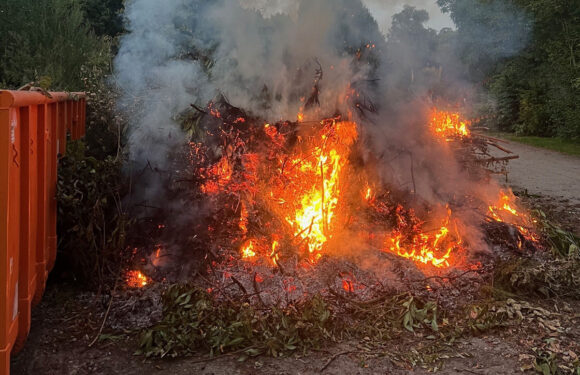 Serie von Brandstiftungen: Erneut Feuer auf dem Südfriedhof in Minden