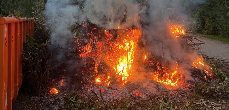 Serie von Brandstiftungen: Erneut Feuer auf dem Südfriedhof in Minden