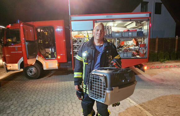 Auhagen: Katze vom Dach gerettet – Feuerwehreinsatz am Abend