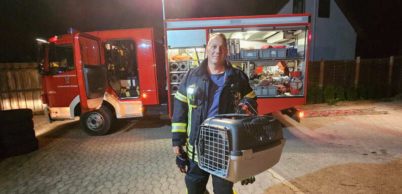 Auhagen: Katze vom Dach gerettet – Feuerwehreinsatz am Abend