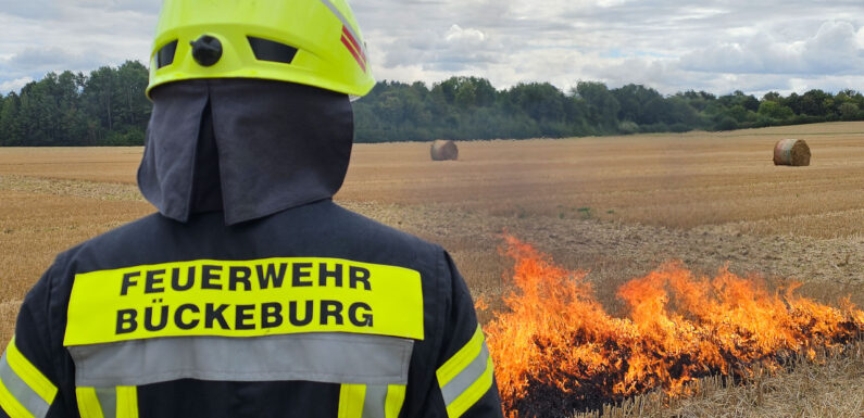 Flächenbrandbekämpfung: Feuerwehren Bückeburg-Stadt und Röcke trainieren für den Ernstfall