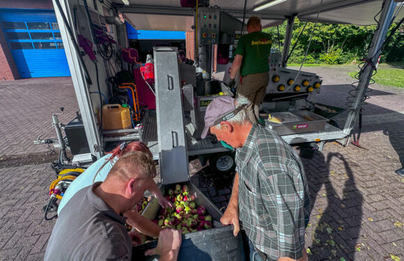 Fruchtiges Ergebnis und Rekordausbeute beim Saftmobil in Meinsen-Warber
