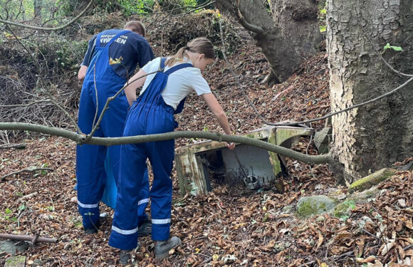 World Clean Up Day: Jugendfeuerwehren der Samtgemeinde Nienstädt sammeln Müll