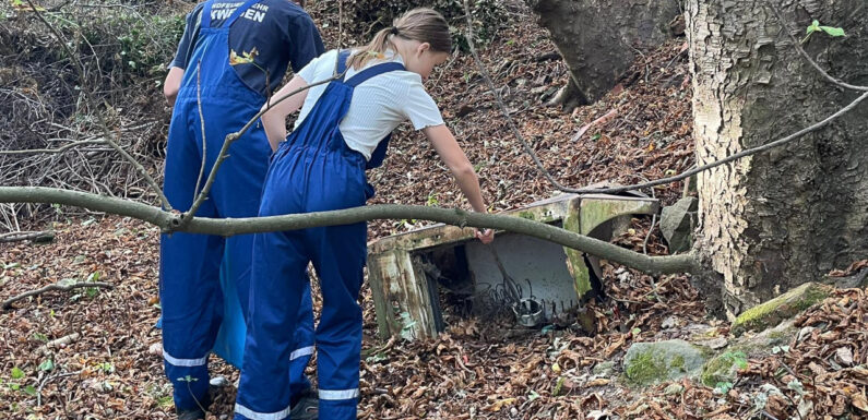 World Clean Up Day: Jugendfeuerwehren der Samtgemeinde Nienstädt sammeln Müll
