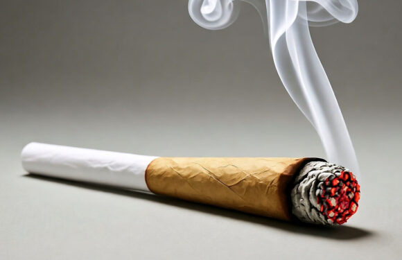 Kein Kiffen auf der Kirmes: Bückeburg erlässt Cannabis-Allgemeinverfügung