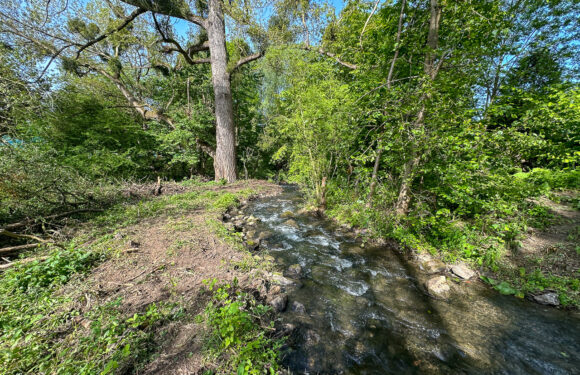 Stand der Dinge: Fischaufstiegshilfe an der Wehranlage Warber