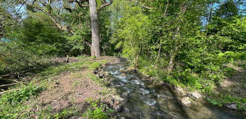 Stand der Dinge: Fischaufstiegshilfe an der Wehranlage Warber