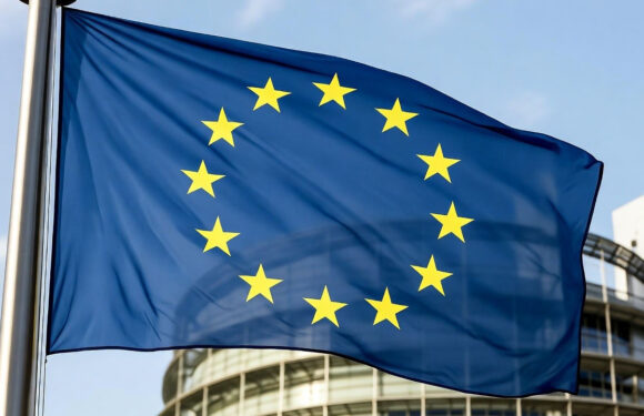 Die EU klopft an: Haustür-„Rekrutierung“ für Europäisches Bürgerforum auch in Bückeburg