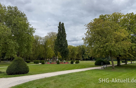 Schlossgarten Stadthagen: 43 Bäume müssen gefällt werden