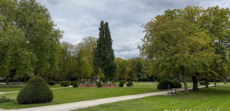 Schlossgarten Stadthagen: 43 Bäume müssen gefällt werden