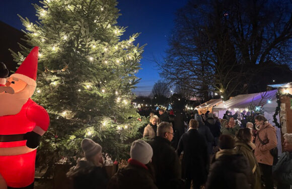 25. Weihnachtsmarkt Meinsen-Warber mit neuem Weihnachtswald