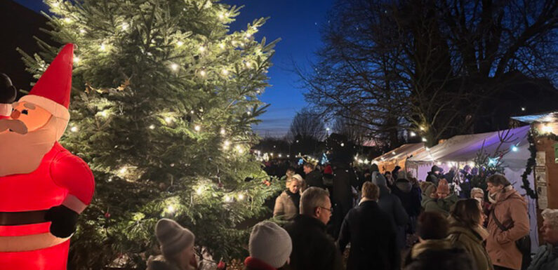 25. Weihnachtsmarkt Meinsen-Warber mit neuem Weihnachtswald