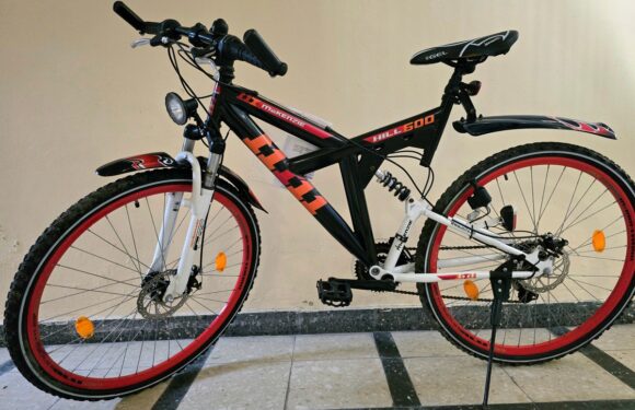 Fahrraddiebin in Stadthagen auf frischer Tat erwischt: Wem gehört dieses Mountainbike?