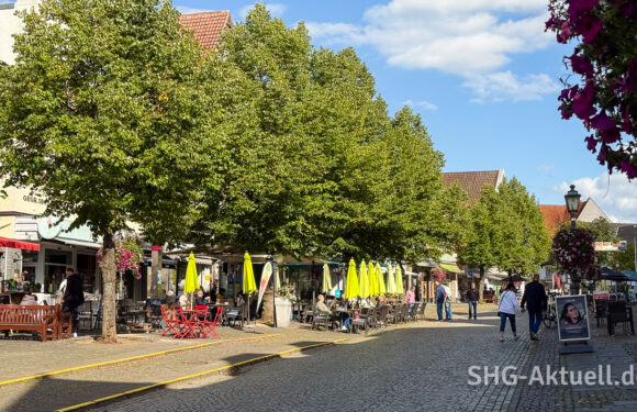 Im Januar 2026 starten die nächsten Bauarbeiten an Bückeburger Baumquartieren