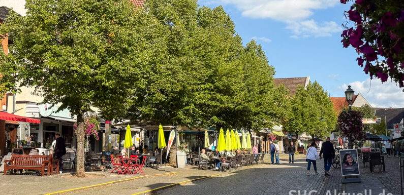 Im Januar 2026 starten die nächsten Bauarbeiten an Bückeburger Baumquartieren