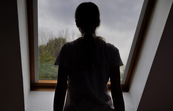 Rintelnerin berichtet über ihren Kampf gegen gewalttätigen Ex-Partner, voreingenommene Ämter und manipulierbare Schiedspersonen