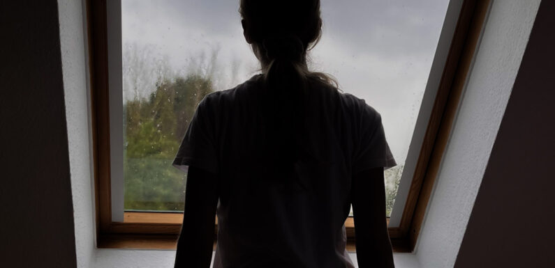 Rintelnerin berichtet über ihren Kampf gegen gewalttätigen Ex-Partner, voreingenommene Ämter und manipulierbare Schiedspersonen