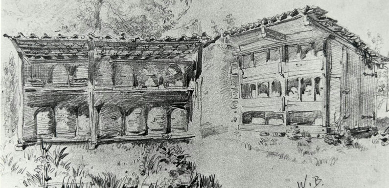 Abschlussveranstaltung mit Führung: „In Gras und Blüten, summen Bienen – Wilhelm Busch und die Imkerei“