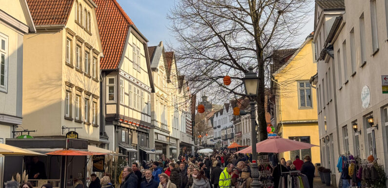 Bückeburg lädt ein: Streetfood-Markt trifft Shopping – verkaufsoffener Sonntag am 8. Februar