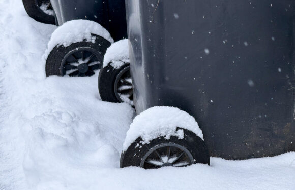 Müllabfuhr entfällt aufgrund der Wetterlage: Das rät die AWS