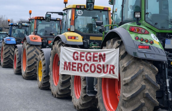 Demo „Stoppt Mercosur“ mit Traktoren und LKW in Schaumburg und Hameln