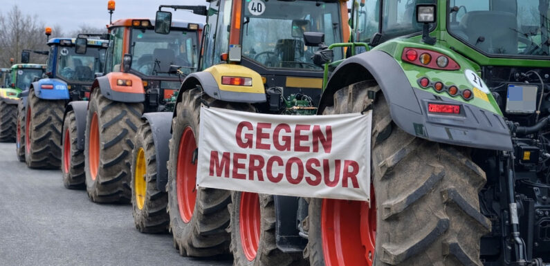 Demo „Stoppt Mercosur“ mit Traktoren und LKW in Schaumburg und Hameln