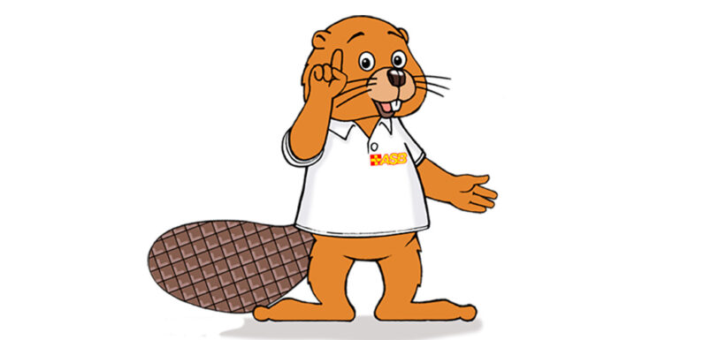 ASB-Kurse für Umgang mit Krisen, Notfällen und Umweltkatastrophen